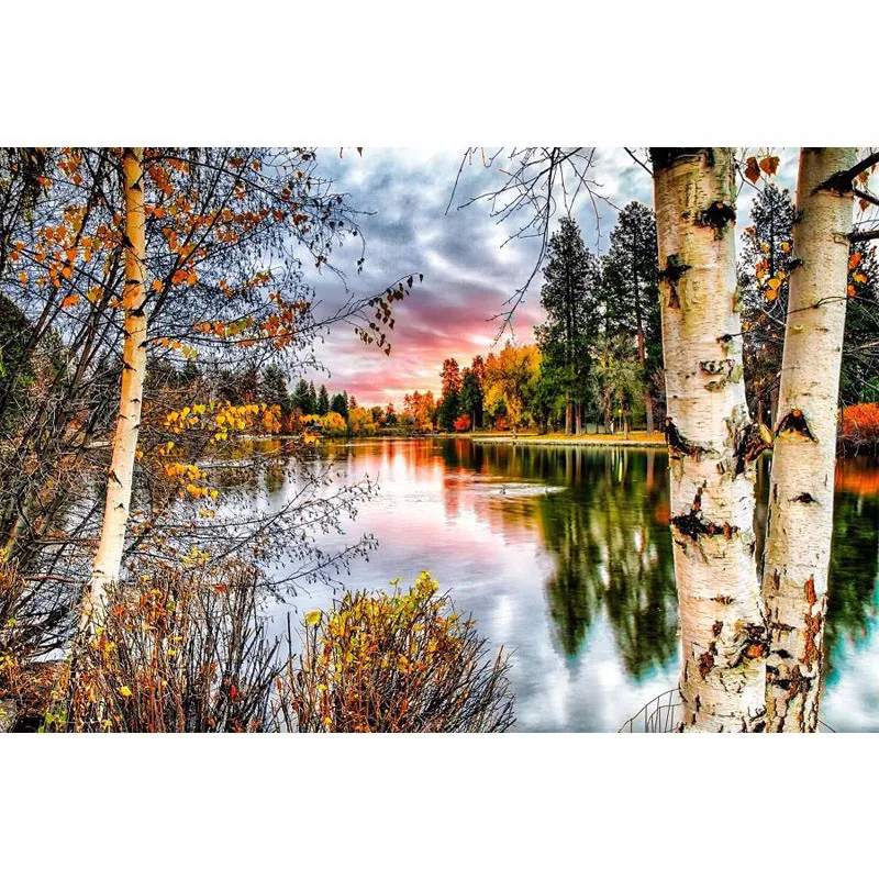 

5D DIY Diamond Painting Sunset Landscape Cross Stitch Forest Tree Needlework Home Decorative Full Square Diamond Embroidery