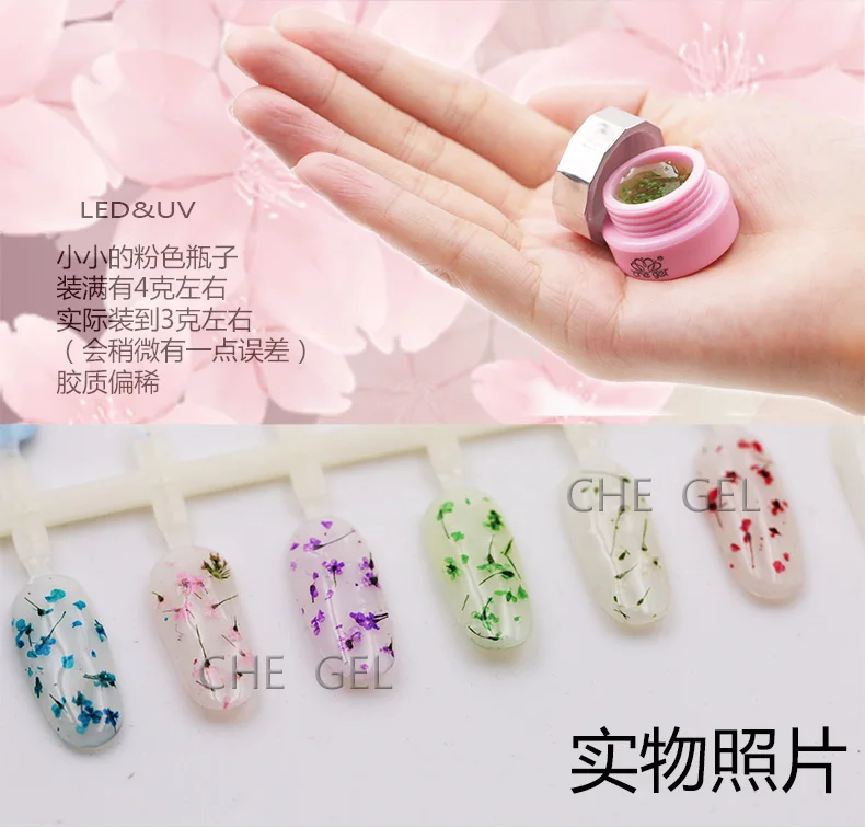 Гель-лак для ногтей с естественными сушеными цветами стойкий УФ-Гель-лак