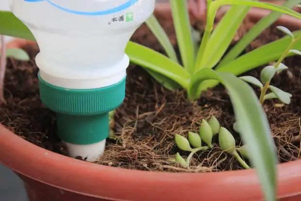 Керамические наборы для полива 1 шт. садовые Цветочные фарфоровые конусные