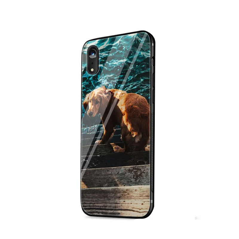 Чехол из закаленного стекла Desxz Dog golden retriever для iPhone 6 6S 7 8 Plus X XS Max XR 5 5S SE |