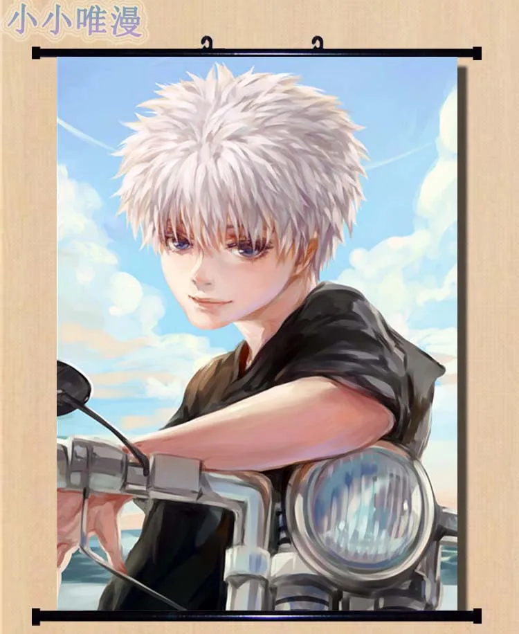 Японские декоративные картины аниме Hunter x cool boy персонажи Killua Zoldyck домашний декор