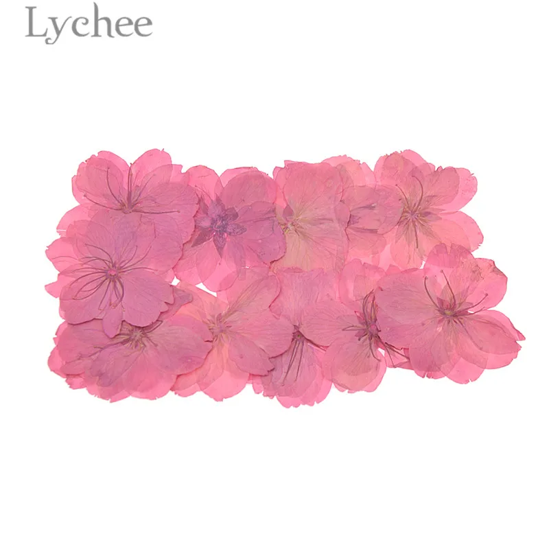 Lychee Life прессованный Высушенный Цветок сакуры натуральный цветок вишни домашнее украшение DIY художественное ремесло