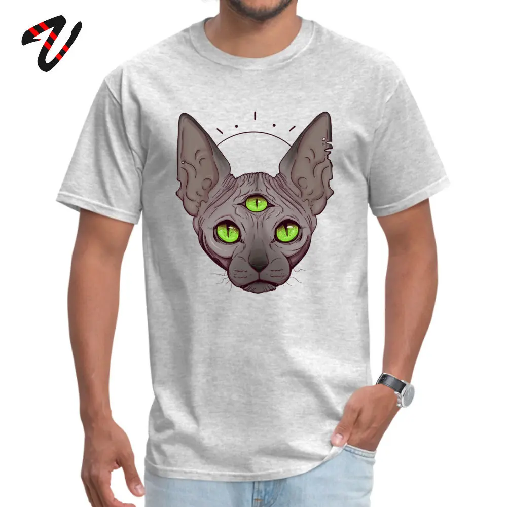 Футболка с рисунком «Три глаза» для мужчин, Cheshire, топы, Sphynx, канадские любительские футболки без волос, большие размеры, Всевидящее Око хлопковая футболка