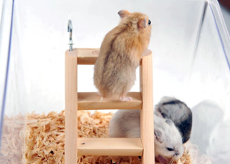 Высококачественная сосна искусственная животная лестница деревянные игрушки