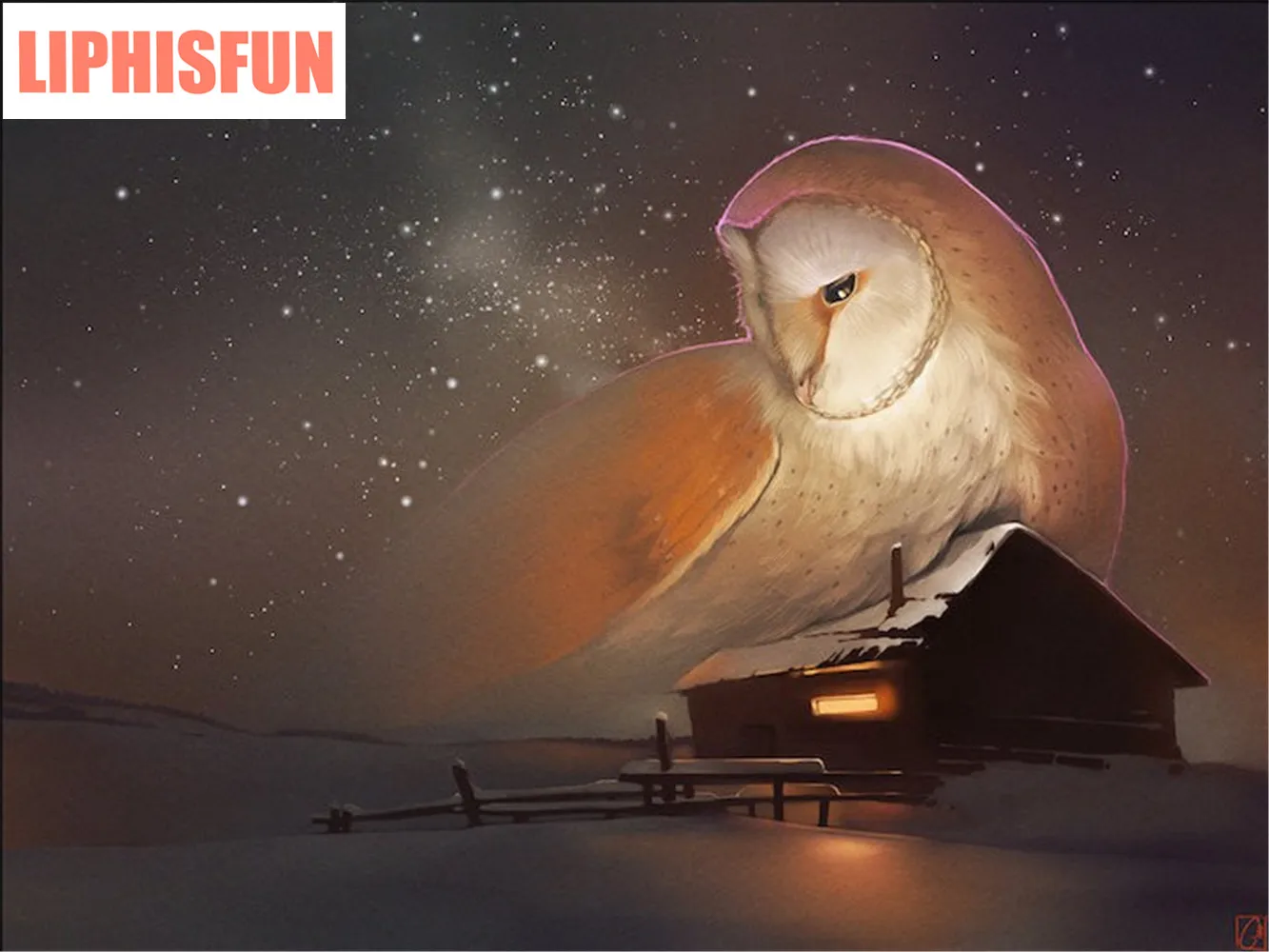 LIPHISFUN рукоделие Алмазная вышивка вид картина Совы и звезды узор картины Стразы