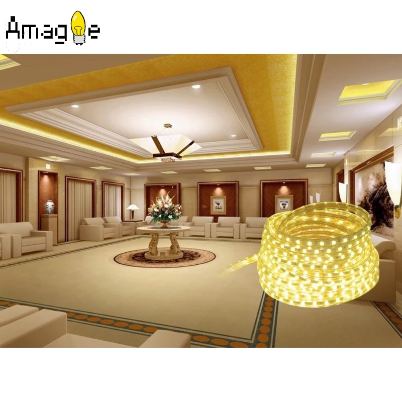SMD 5050 AC 220V Гибкая светодиодная лента 1 м/2 м/3 м/5 м/10 м/20 м/50 м + штепсельная вилка 60