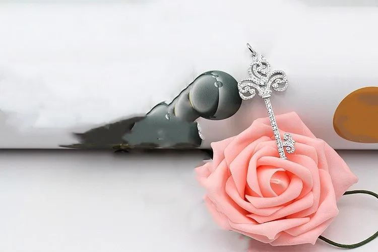 Новинка 2020 цепочка для ключей с кристаллами от Swarovski высококачественные ожерелья