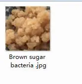 10g Brown sugar bac 10 грамм набор коричневых сахарных бактерий - Цвет: 10g Brown sugar bac