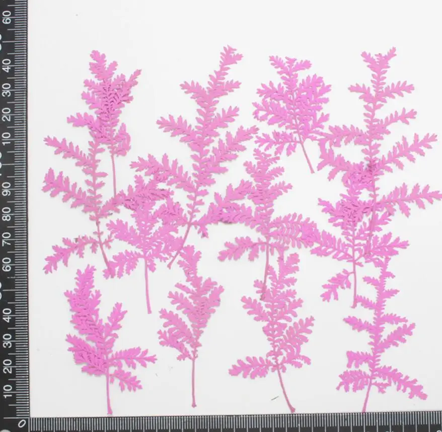 

120pcs Pressed Dried Artemisia argyi H. L Flower Plants Herbarium For Jewelry Making Postcard Frame Phone Case Craft DIY