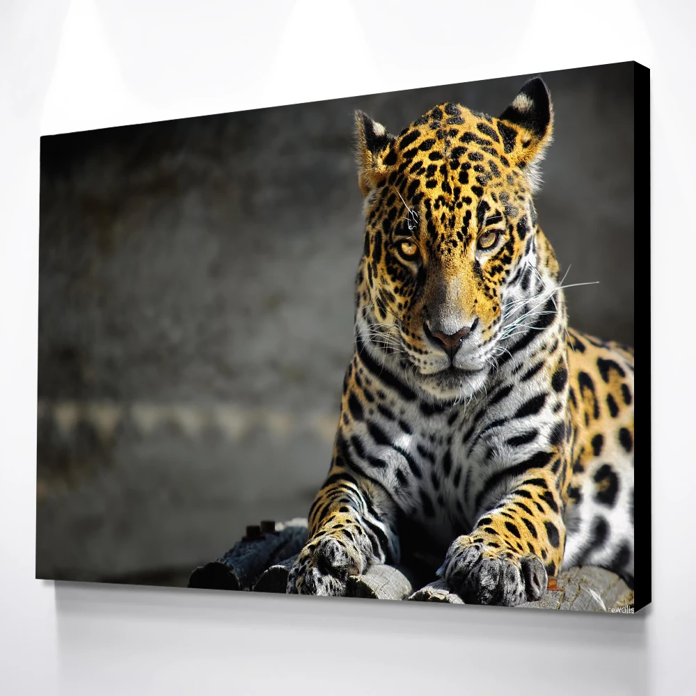 Дропшиппинг Jaguar холст картины плакаты и принты настенные для гостиной Tableau Peinture