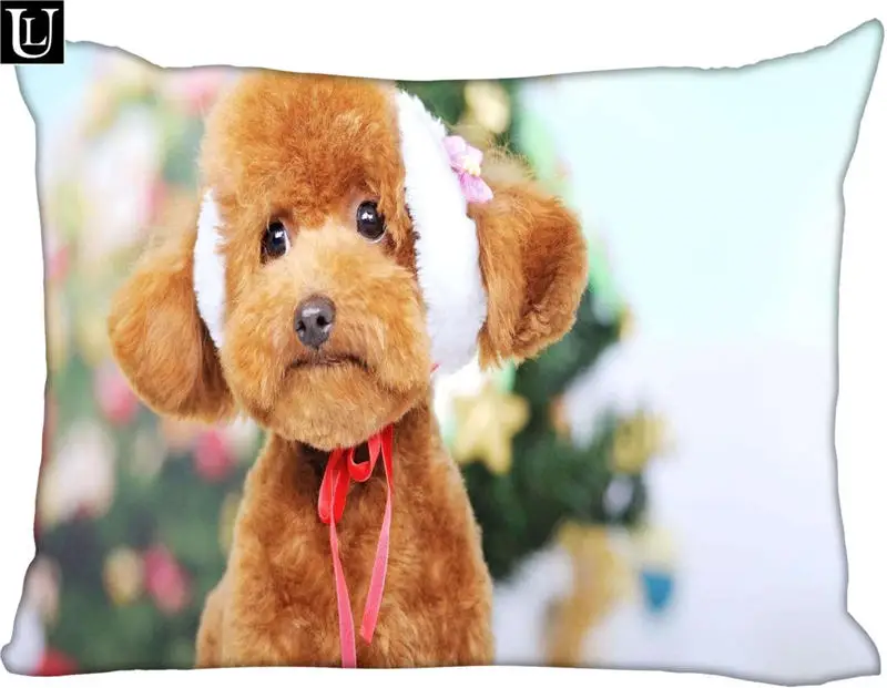 Наволочка на молнии из полиэстера и хлопка размер 45x35 см | Дом сад