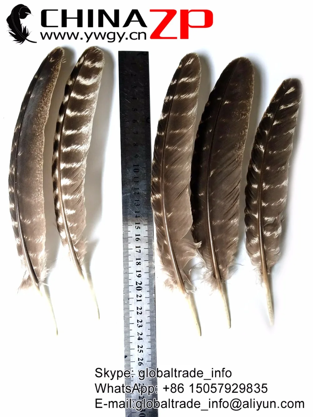 Китайские перышки с перьями 50 шт./лот размеры от 20 до 28 см|quill feather|wild turkeyfeather quill |