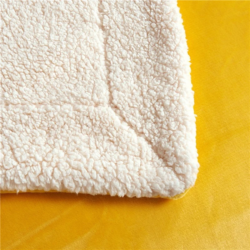 Фланелевое Одеяло для кровати толстое мягкое теплое одеяло Коралловое шерпа