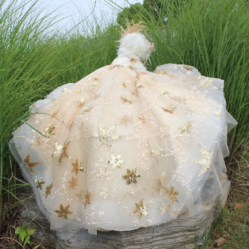 Pet Dog Dress Luxury Trailing Princess Wedding Dress For Small Dogs Golden Embroidery Puppy Clothes Lace Dress Chihuahua Poodle