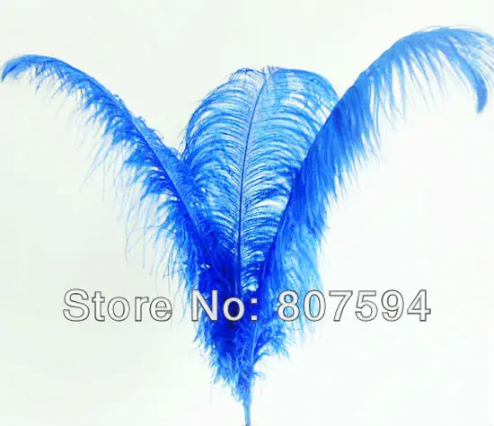 Colorful Long 50 - 55cm Big Ostrich Feathers Plume for DIY Craft Wedding Party Centerpieces Home Decoration 12pcs/lot IF61 | Дом и сад