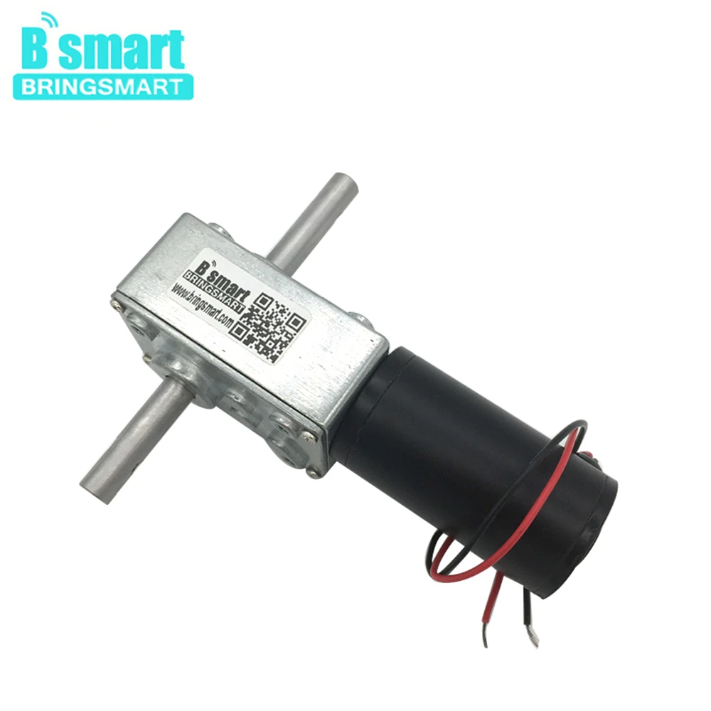 Bringsmart 5840-31zy 12 В DC червячный мотор-редуктор с двойным валом 3 в 9 в обратный редуктор с высоким крутящим моментом 24 В DC мотор самоблокирующийся мини-инструменты