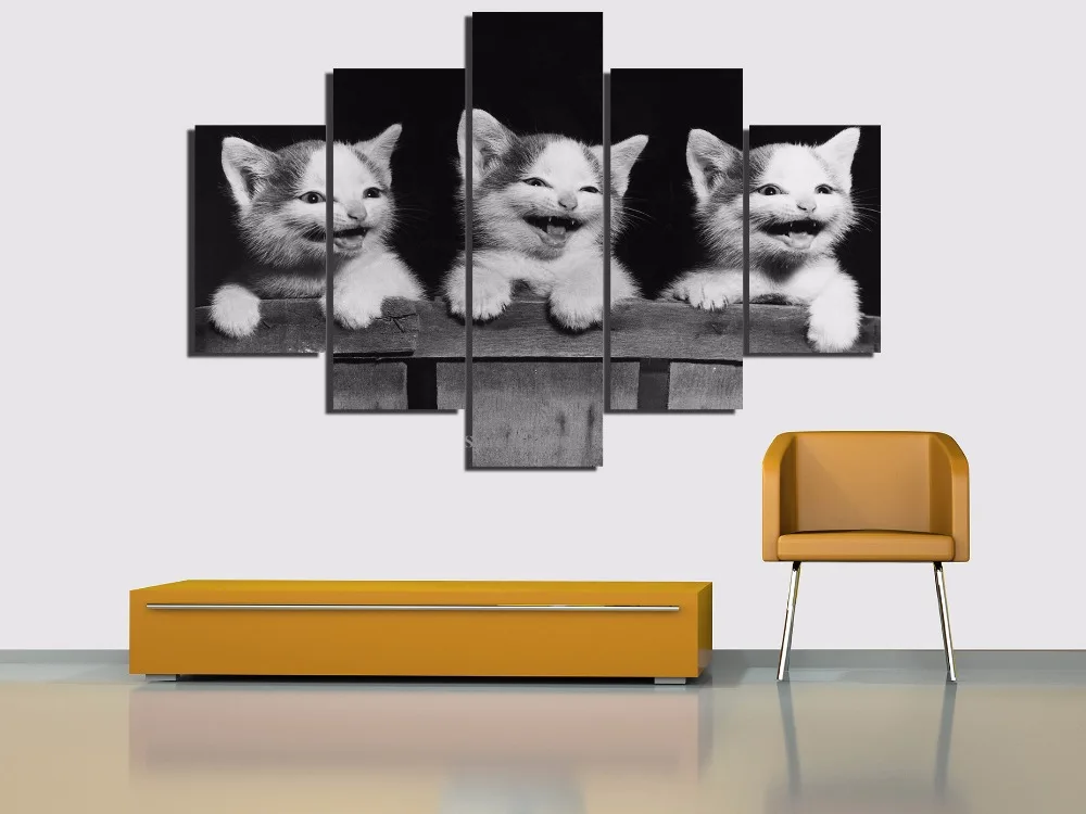 5 шт. Картина на холсте с изображением кошки улыбки|wall art|printed canvasart pictures |