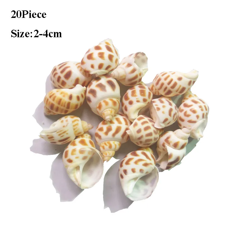 50g Small Sea Shells Mixed Ocean Beach Seashells-Natural Colorful shells Starfish Perfect for Vase Fillers | Дом и сад