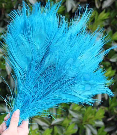

50Pcs/Lot 10-12 Inch 25-30cm Dyed Sky Blue Peacock Eye Feathers FREE SHIPPING