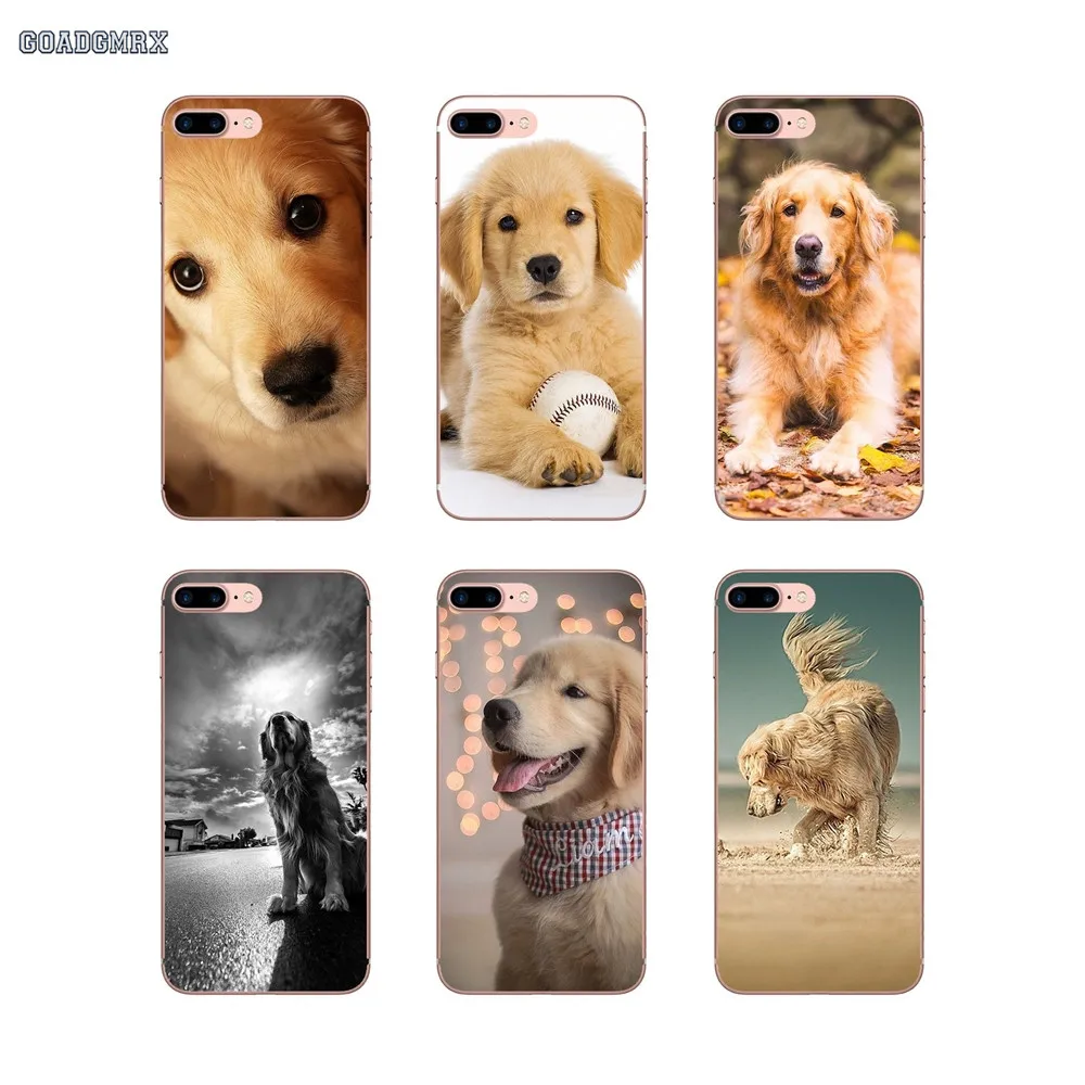For Huawei P Smart P8 P9 P10 Lite Y6 Y7 Y9 Prime Pro 2017 2018 2019 Transparent TPU Case Covers Golden Retriever Lovely Puppy | Мобильные