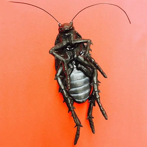 Jumbo Rubber Roach волшебные трюки розыгрыш реквизит появляющийся на сцене крупным