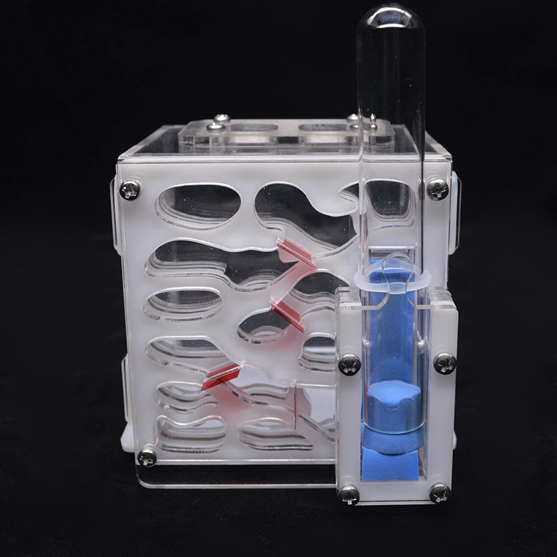 DIY acryl Ant ферма Муравьиное гнездо с питанием площадка муравей дом для домашних животных Anthill мастерской муравей дом с увлажняющей водной башней 8*8*10 см