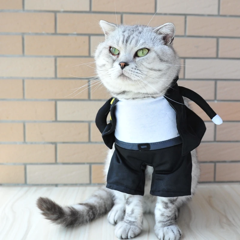 [MPK Store] костюм кошки, японский секретный костюм для кошек и собак, японский мафиозный костюм для домашних животных