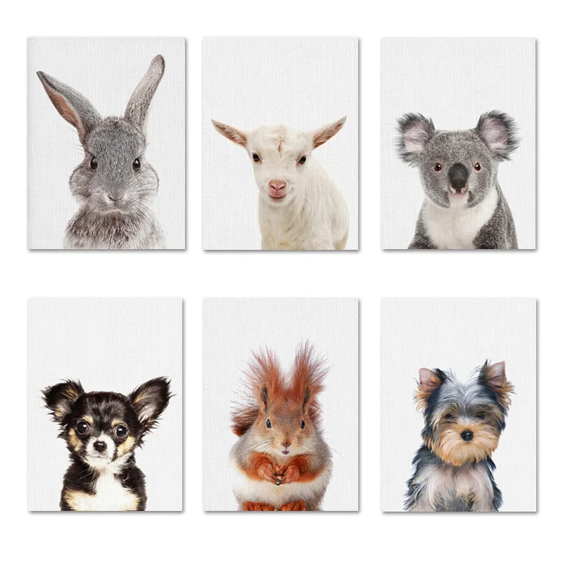 Koala белка кролик лесной животные настенные художественные принты и постеры