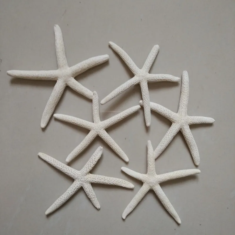 HappyKiss 2 шт./лот бежевая Морская звезда для вечеринки стиля вечерние decoration7 10CM|party