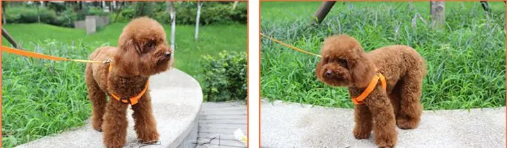 D05 собаки жгут свет Pet ремень световой жгут собак для среднего большой собаки