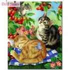 Алмазная вышивка кошки цветы фрукты квадрат 5D DIY Алмазная Картина Вышивка крестом картина горный хрусталь мозаичный узор Декор для дома