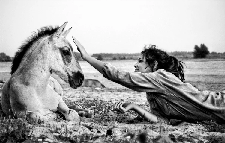 

landscape picture prints on canvas black and white pictures portrait horses with lady photographic prints modern home decor art