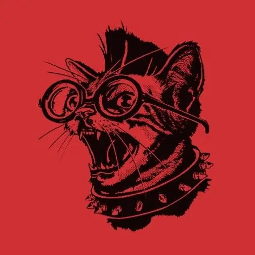 Новинка 2019 летняя модная женская футболка в стиле панк с котом все размеры и