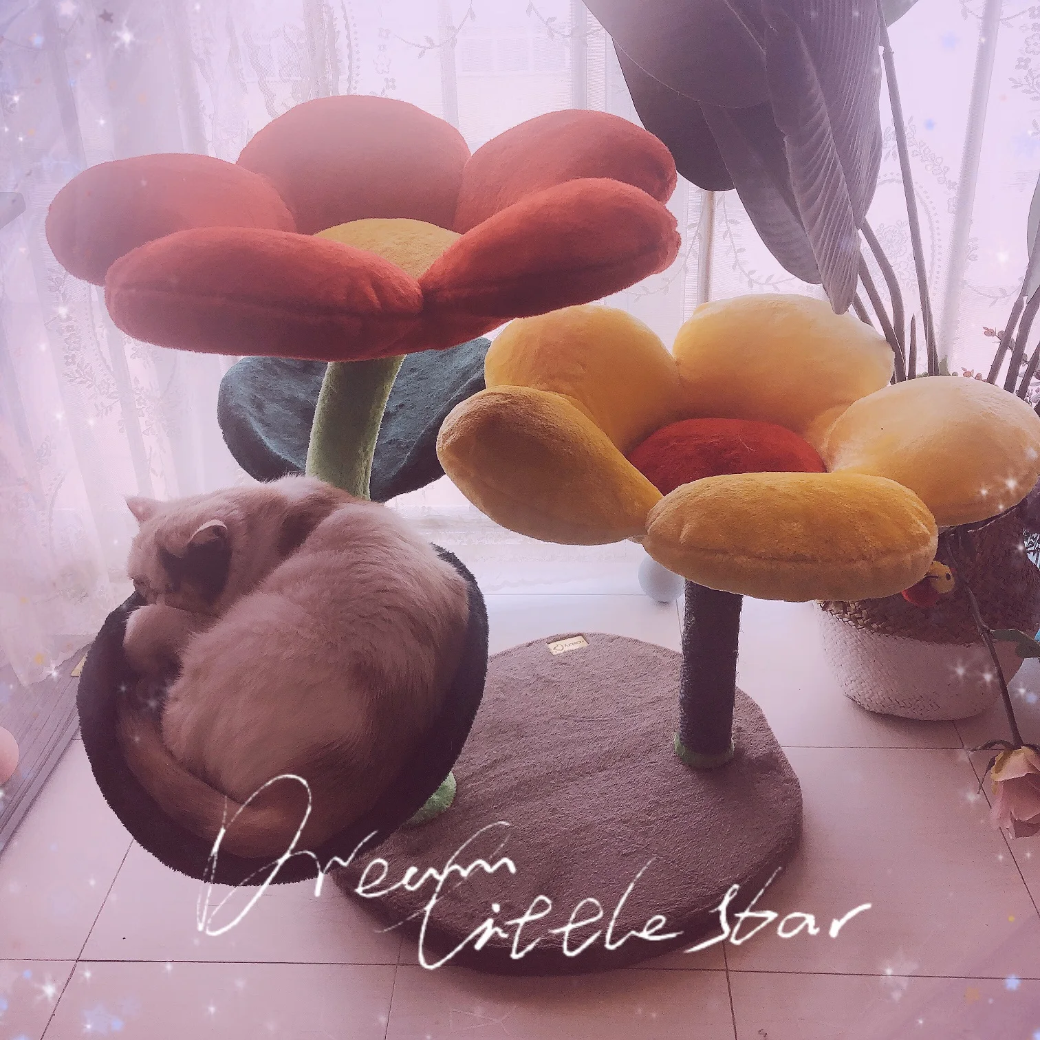 Кошачье счастье так же красочно, как цветы кошка башня Цвет цветок кошка дерево когтеточка так мило