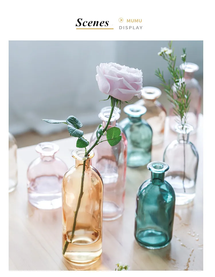 INS Small Mouth Glass Transparent Vase Nordic Wind Dried Flower Vases Japanese Home Wedding Decoration Colorful Flower Vases