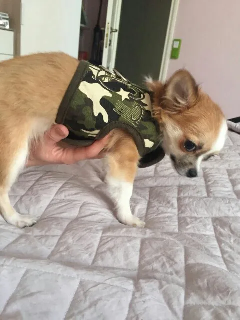 Сильный собачий поводок для собак, одежда для собак, хомяк кролики ремни Мягкий поводок для собак, поводок для собак, автоматический поводок ремни для Кролик Собака Щенок K9 Собака Жилет Жгут