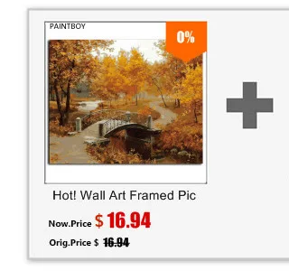Paintboy цветок картина в рамке DIY живопись по номерам Акриловая живопись на холсте домашний декор для гостиной GX4870 40*50 см