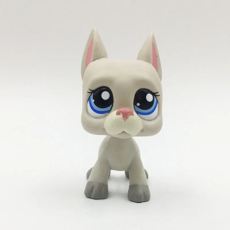 LPS CAT редкий оригинальный pet shop Симпатичные игрушки #1688 светильник серый дог щенок