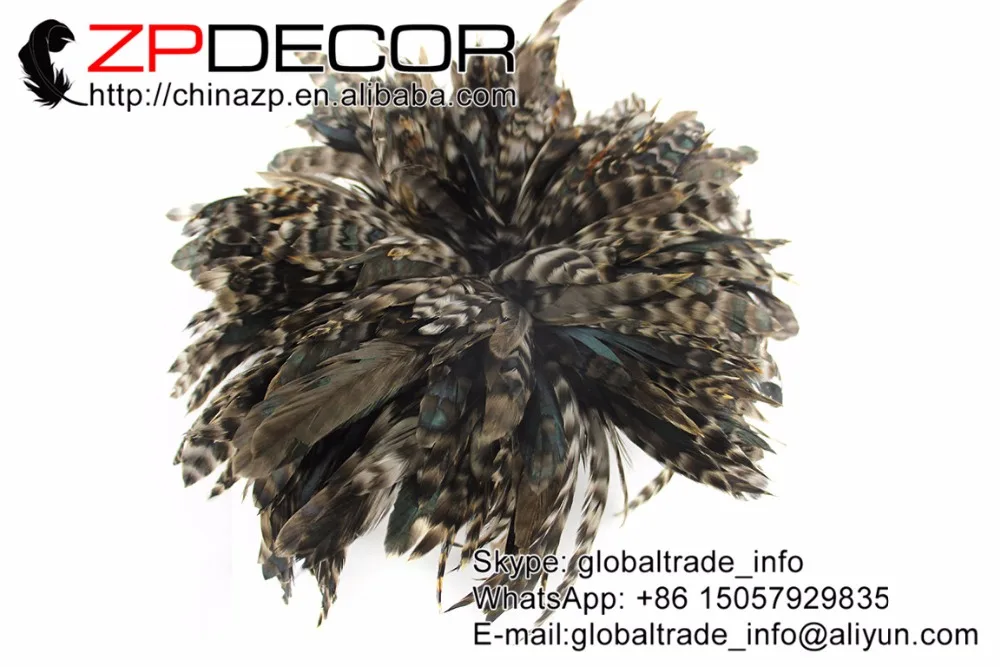 ZPDECOR петух перо фабрика 6-8 дюймов ручная работа высокое качество натуральный и