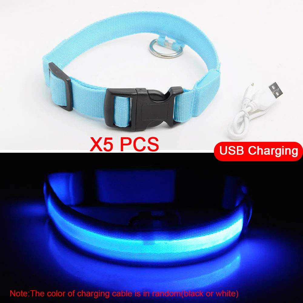 Blue 5PCS 5 шт./лот usb зарядка светодиодный ошейник для собак защита от потери безопасный светящийся ошейник для собак щенков светящиеся ошейники для животных Товары для домашних животных - Цвет: Blue 5PCS