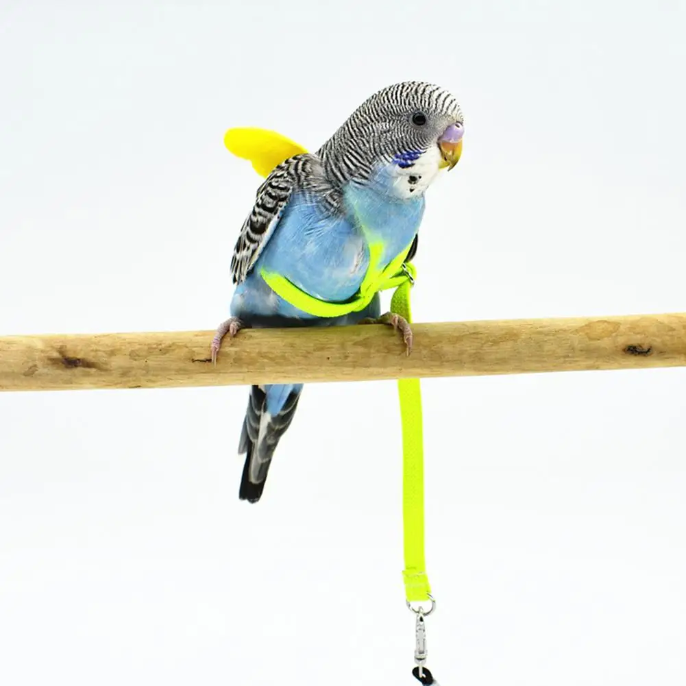 Pet Parrot шлейка для птицы и поводка Летающий канат ремни для тренировок на открытом воздухе Тяговый канат для буджеригар Lovebird Cockatiel Birds