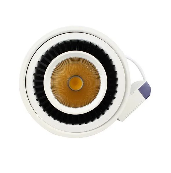 Led COB светильник 5 Вт/7 Вт/9 Вт/20 Вт поверхность mouted Светодиодная лампа AC85-265V потолочный Точечный светильник и светодиодный драйвер теплый белый/натуральный белый