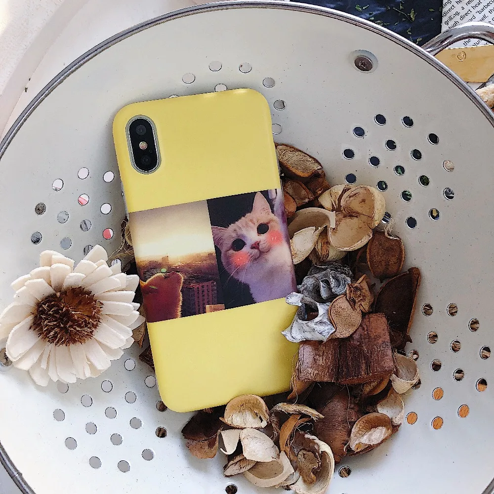 Туманно красота милый мультфильм чехол для телефона iPhone 7 8 6 S плюс Silicagel Кот