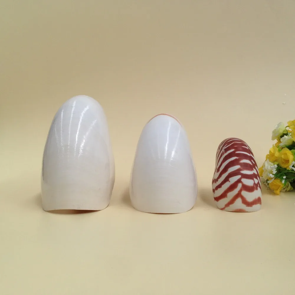 Бесплатная доставка (1 шт./лот) натуральная раковина и ракушка украшение для дома