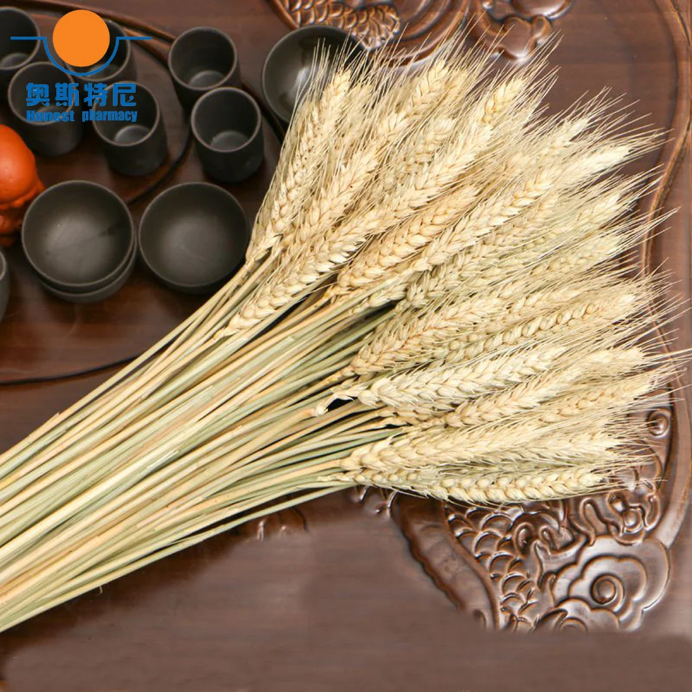 50 шт. Натуральные сушеные цветы букеты из пшеницы настоящие пшеничные цветок уха