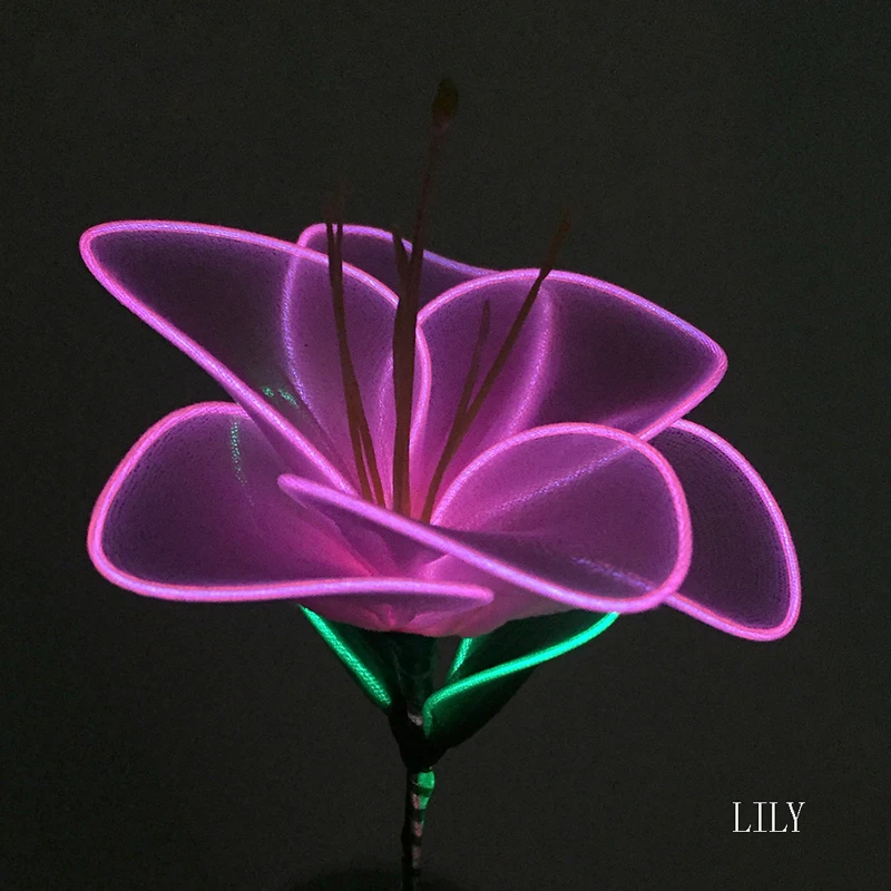 HUSUYUHU SISI новый тип DIY блестящие неоновые праздничные светодиодные лампы Шелковый