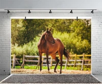laeacco farm trees railing horse baby children photography backgrounds customized photographic backdrops for photo studio