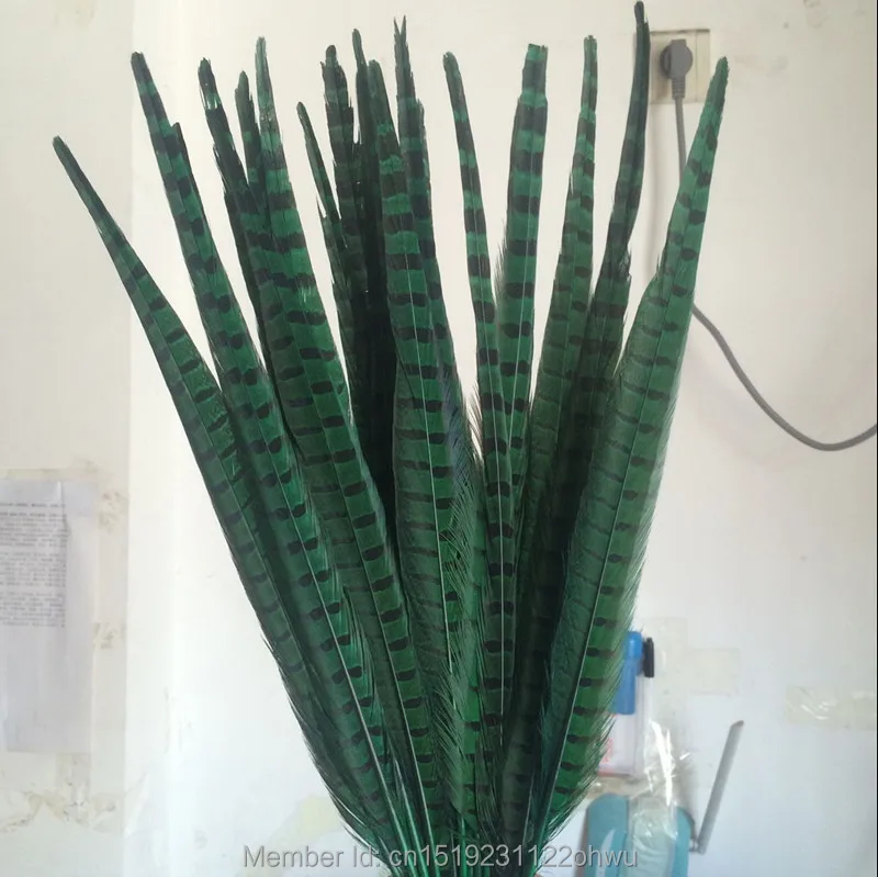 

Wholesale 100PCS beautiful green pheasant feather 18-20 inch 45-50 cm, DIY decorative !