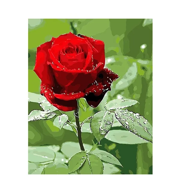 PH9314 BAISITE DIY картина маслом в рамке по номерам цветы картины холст живопись для гостиной стены Искусство домашний декор Y5067 - Цвет: PH9314