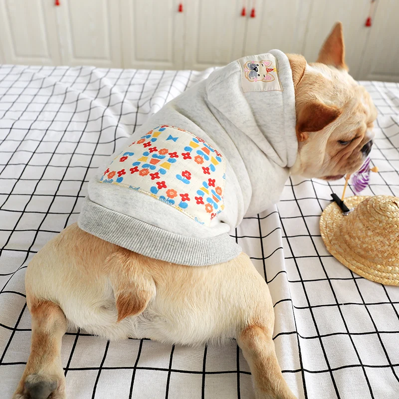 Новинка одежда для собаки летнее весеннее пальто домашних животных кошек куртка